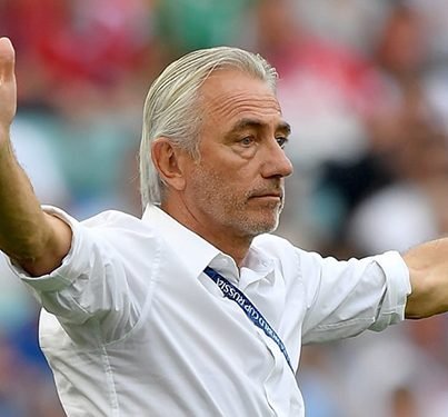 HLV Bert Van Marwijk nói vì không có VAR nên UAE mới thua Việt Nam