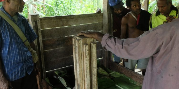 Len-men-hat-ca-cao-tai-Papua-New-Guinea