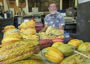 san-luong-ca-cao-tai-bo-bien-nga