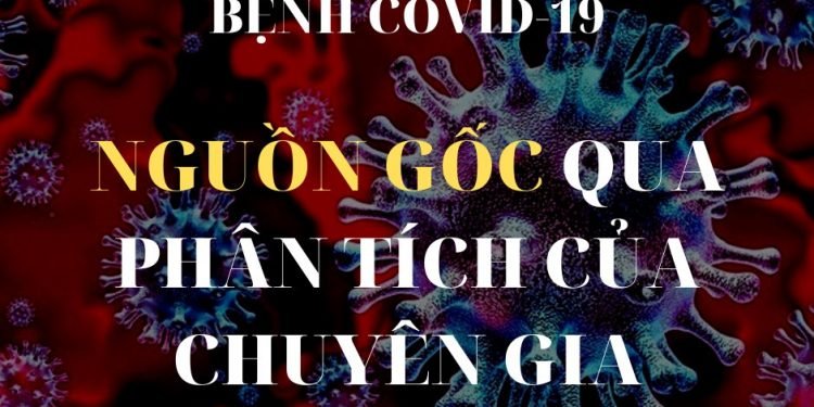 92226233 922293841554925 2216196433176952832 N