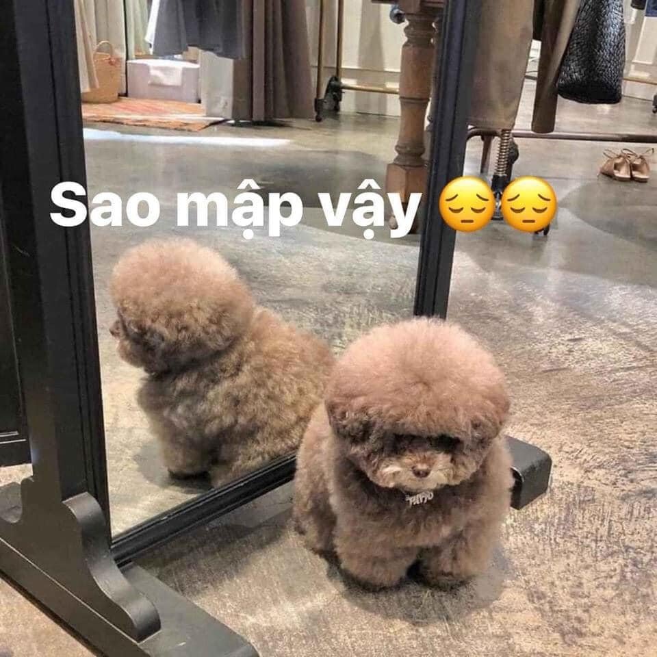 94335132 936259056825070 2703903975526105088 N