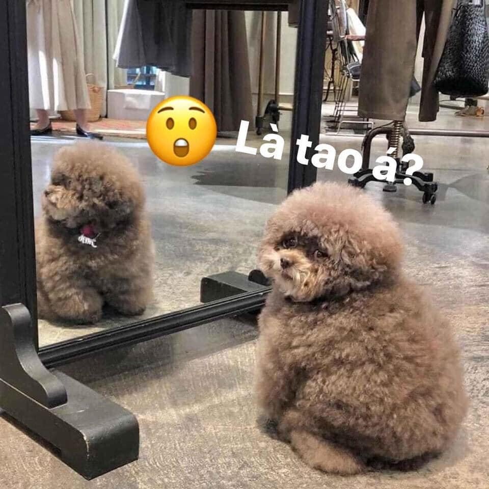 94638506 936259090158400 7927378441404416000 N