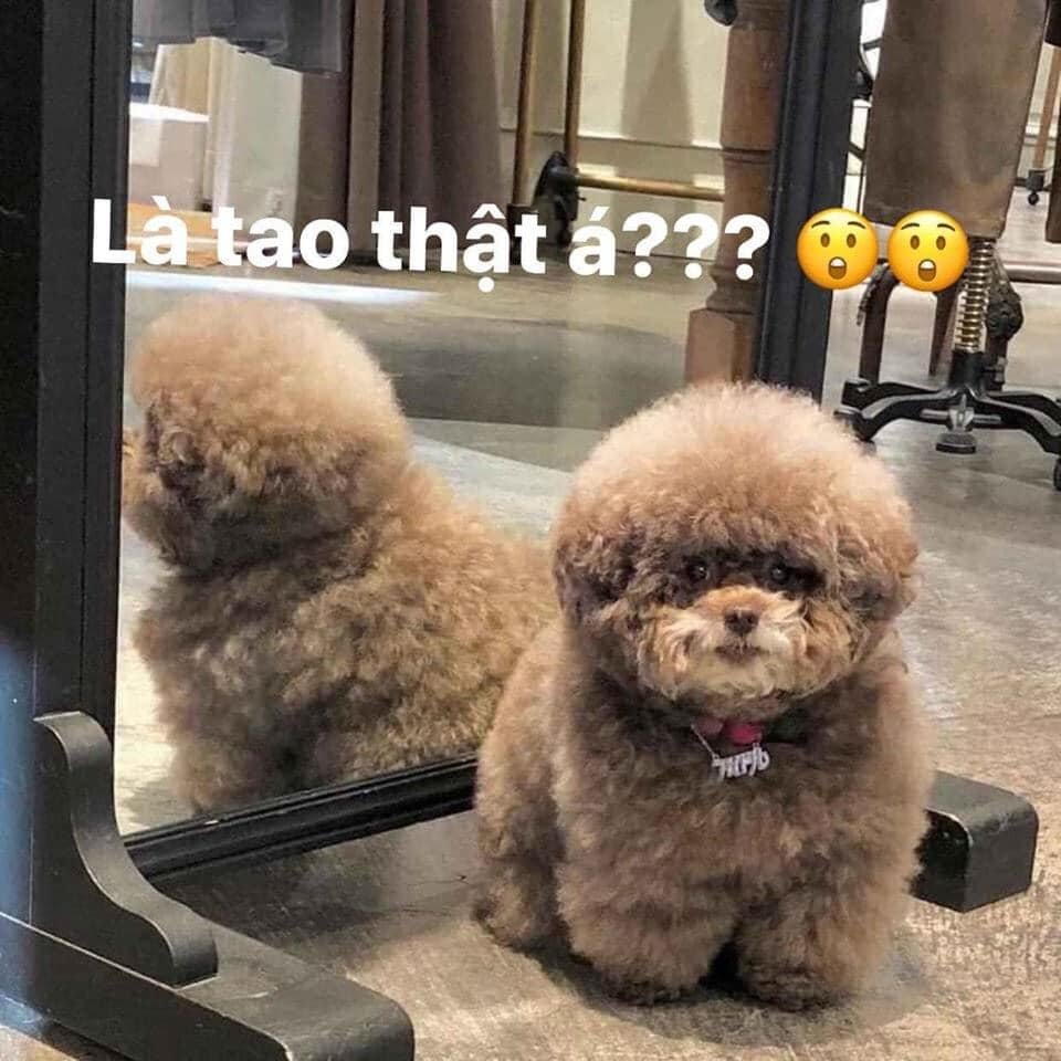 94639645 936259106825065 9146749472401784832 N