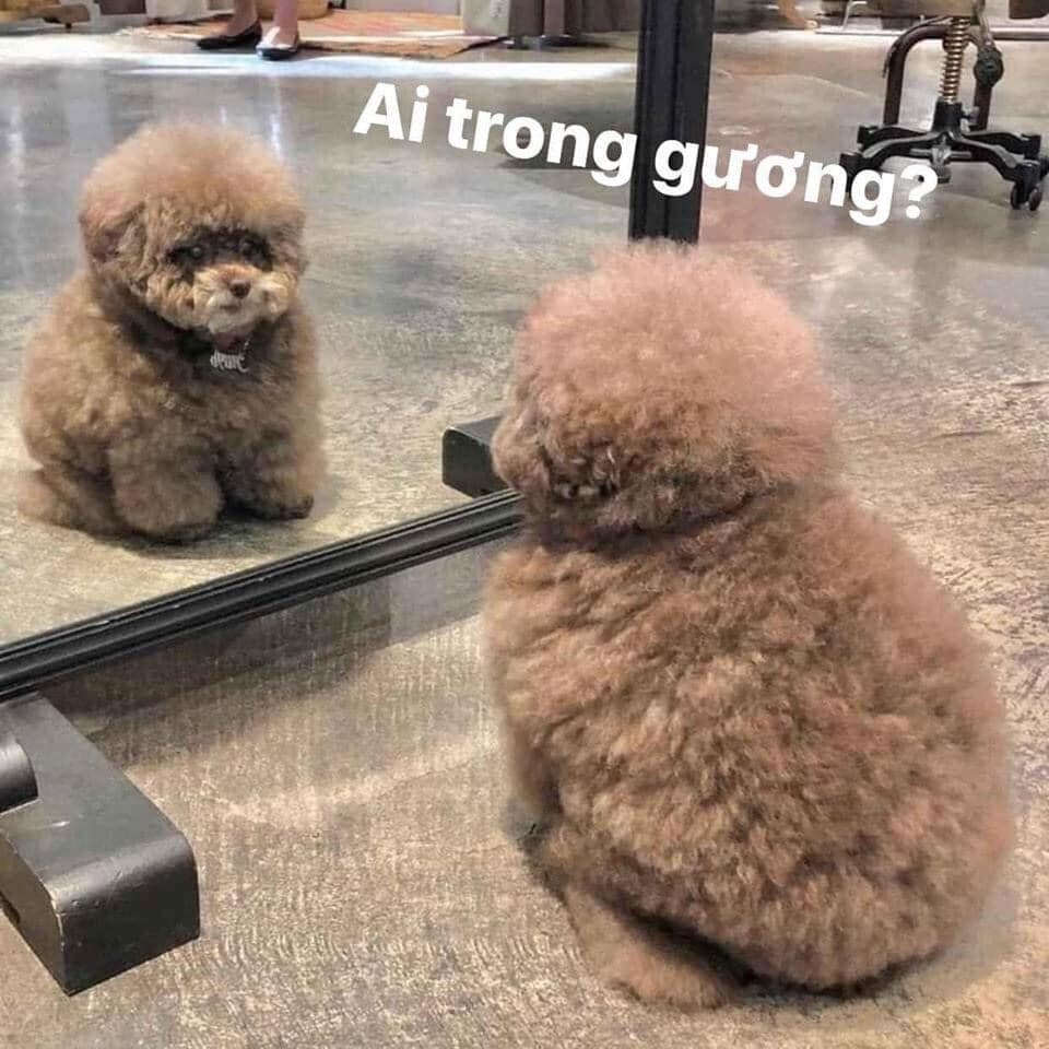 94882371 936259040158405 5570315546299203584 N