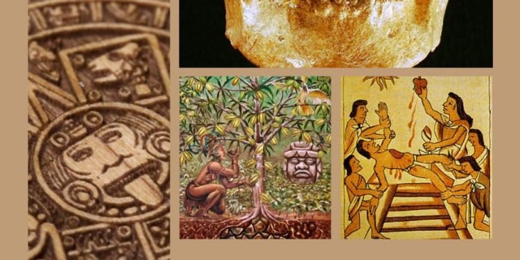 101569235 965294590588183 5256186653197387791 O