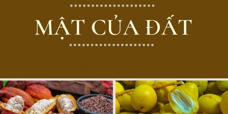 117916843 1019283648522610 3565130355791584823 N