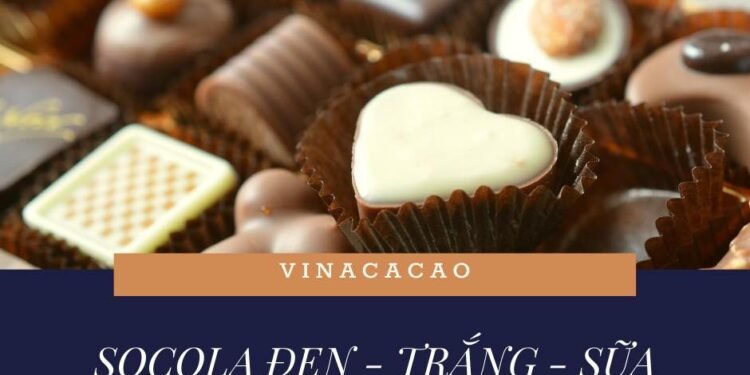 117348125 1013443139106661 3172917362442901814 N