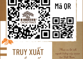 81885545 528754424396329 7504596072832958464 N