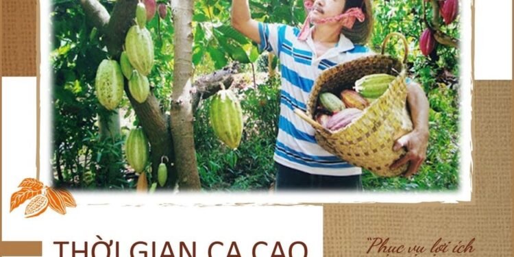 17dc0788 171f 4a7c B4dd 14459bc4fb96