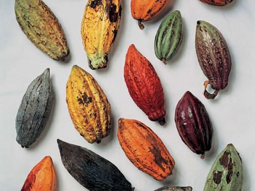 46027182 583060138811632 8412665052422733824 N