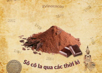 Xanh Lá Và Hồng Minh Họa Mèo Sự Thật Thú Vị Bài đăng Facebook