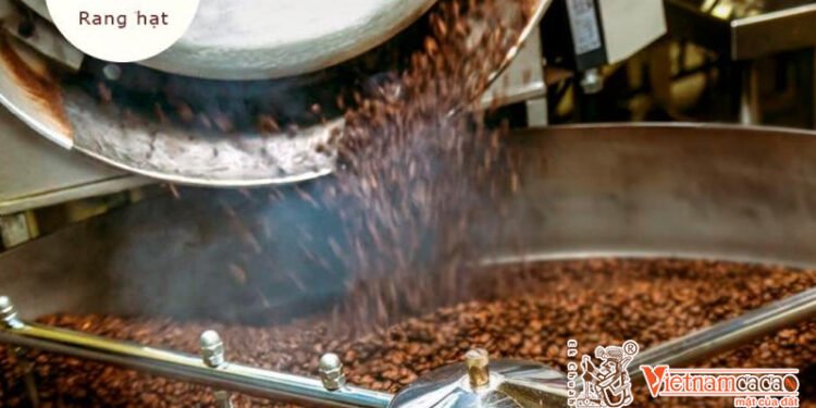 Rang Hạt Cacao
